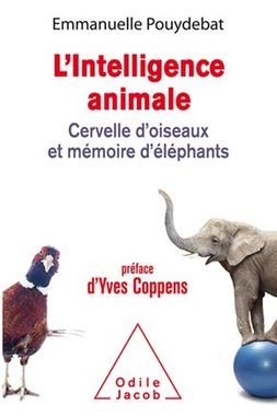 The animal intelligence, bird's brain and elephant memory covered book, writed by Emmanuelle Puydebat, published by Odile Jacob. 